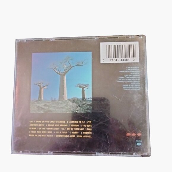 Pink Floyd Delicate Sound of Thunder CD Classic Rock 2 disc set - Picture 8 of 8
